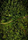 Le rapport «&nbsp;Objectif Forêt&nbsp;» vu par 6 ONG