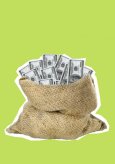 Quand la CGT-forêt prend le rôle de la cour des comptes&nbsp;!